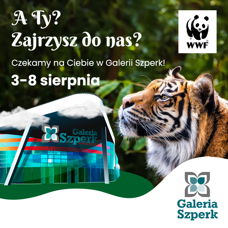 wwf26_kwadrat